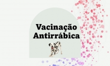 Vacinação Antirrábica de Canídeos - 15 de Maio